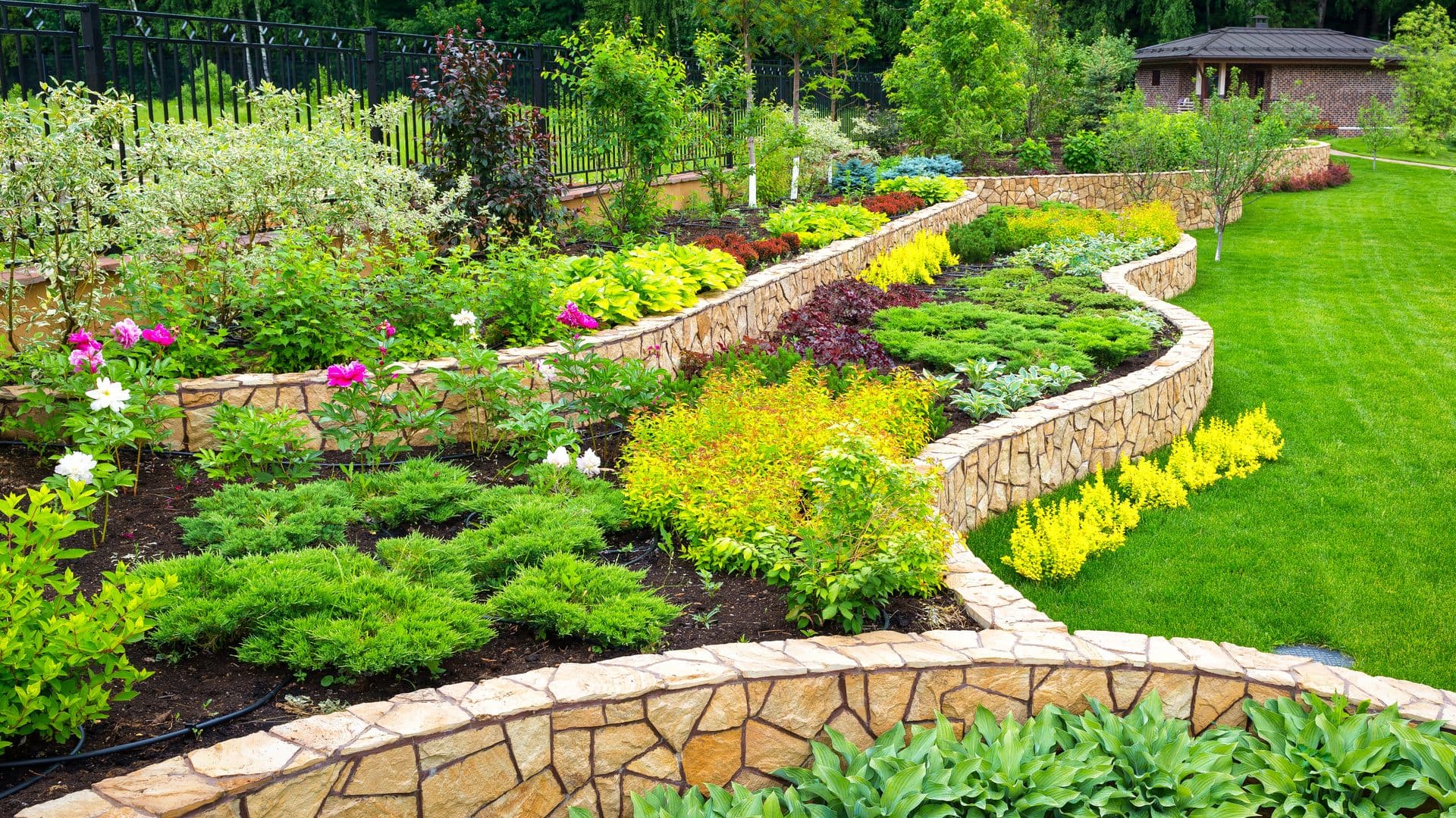 Landscaped garden with tiered stone planting beds containing colorful shrubs and flowers, manicured lawn, black fence, and brick house in background